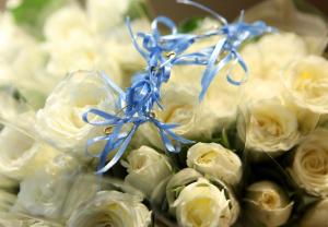 Rosas brancas - laços azuis